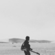 desert
