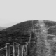picket fence