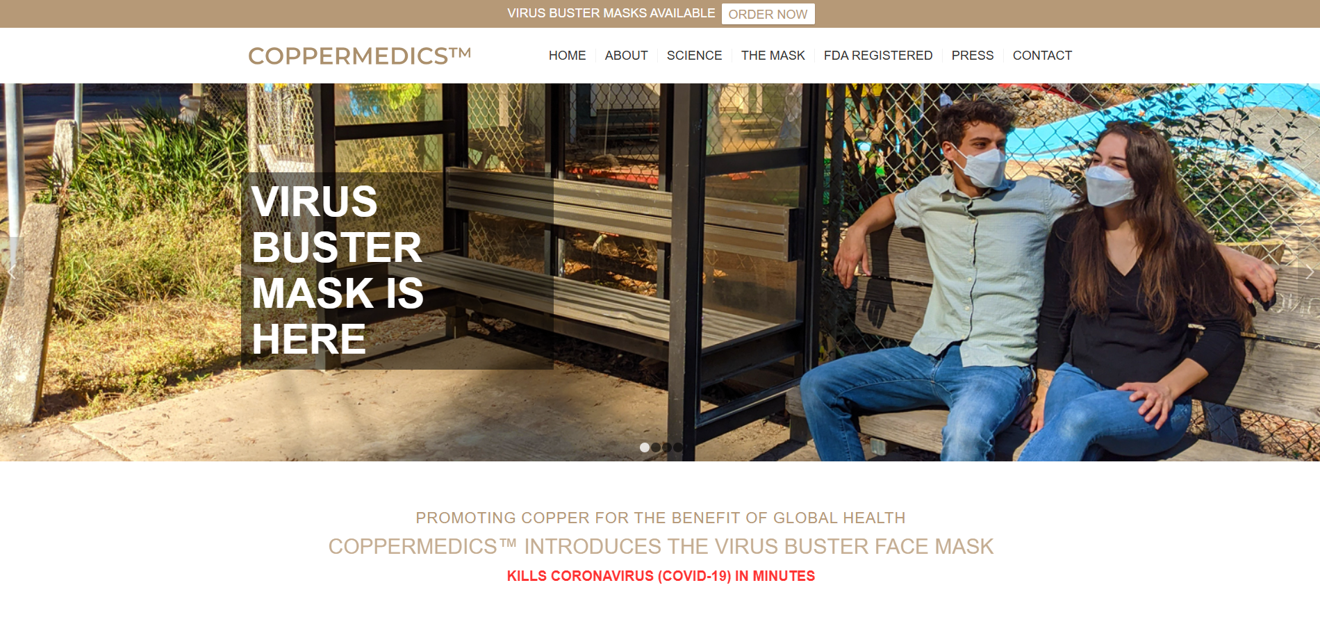 screenshot of custom WordPress web design
