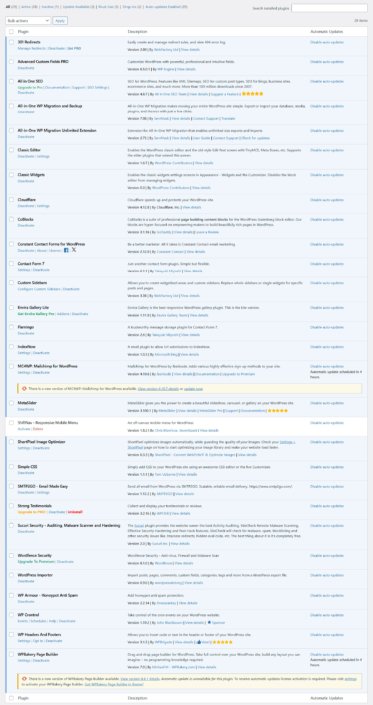 Screenshot of all installed WordPress plugins before maintenance cleanup