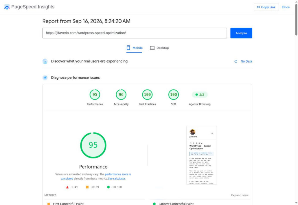 PageSpeed Insights mobile report for jlfaverio.com showing a 95 performance score and no real user data