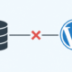 wordpress error establishing database connection